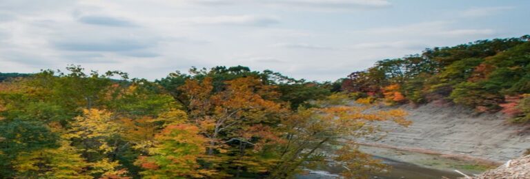 Lake Erie State Parks