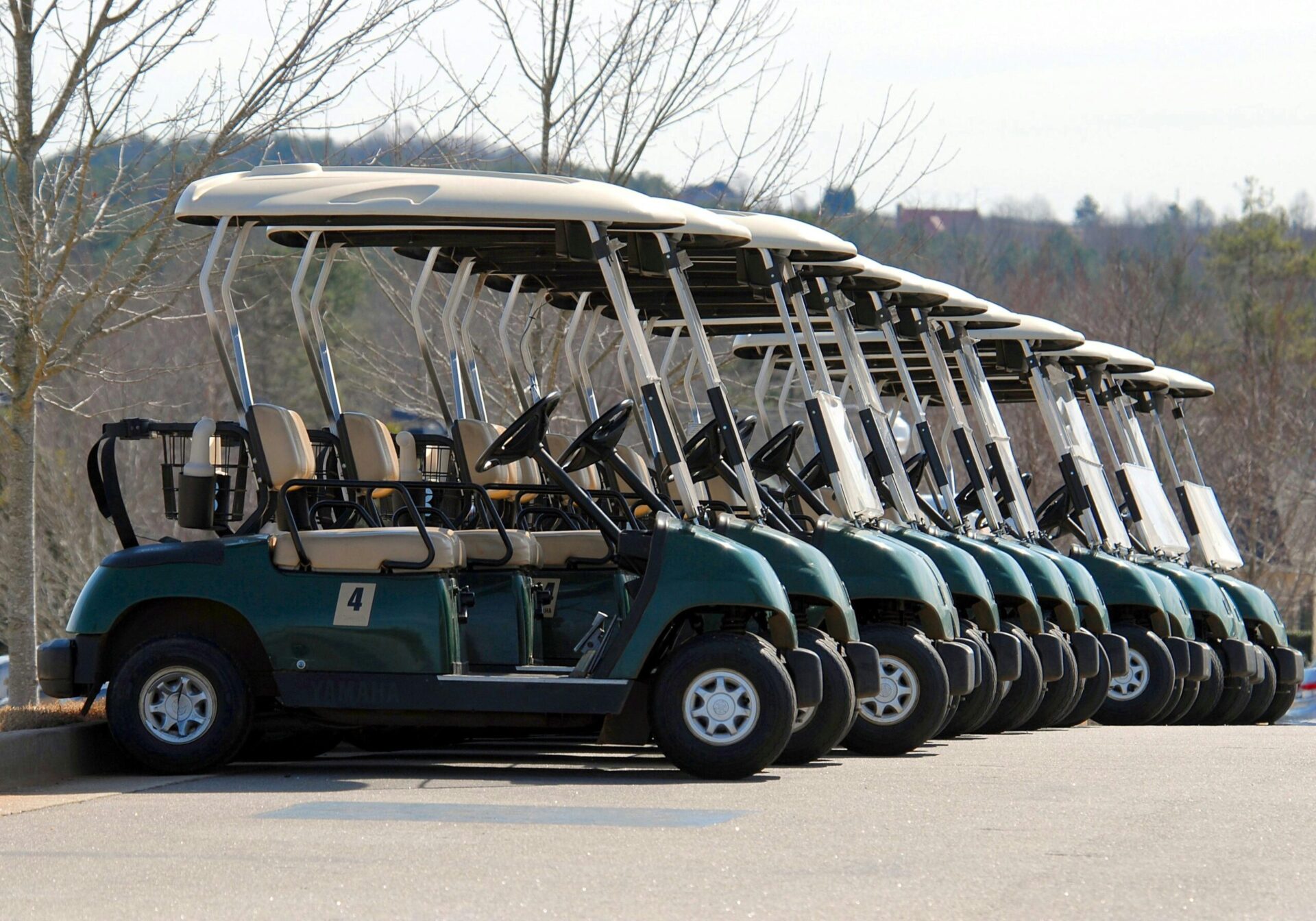 golf cart rental