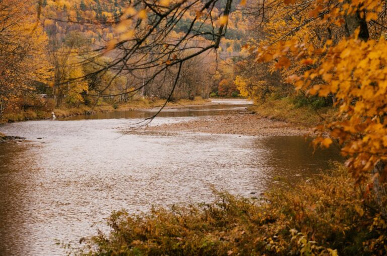 Pennsylvania Steelhead Fishing