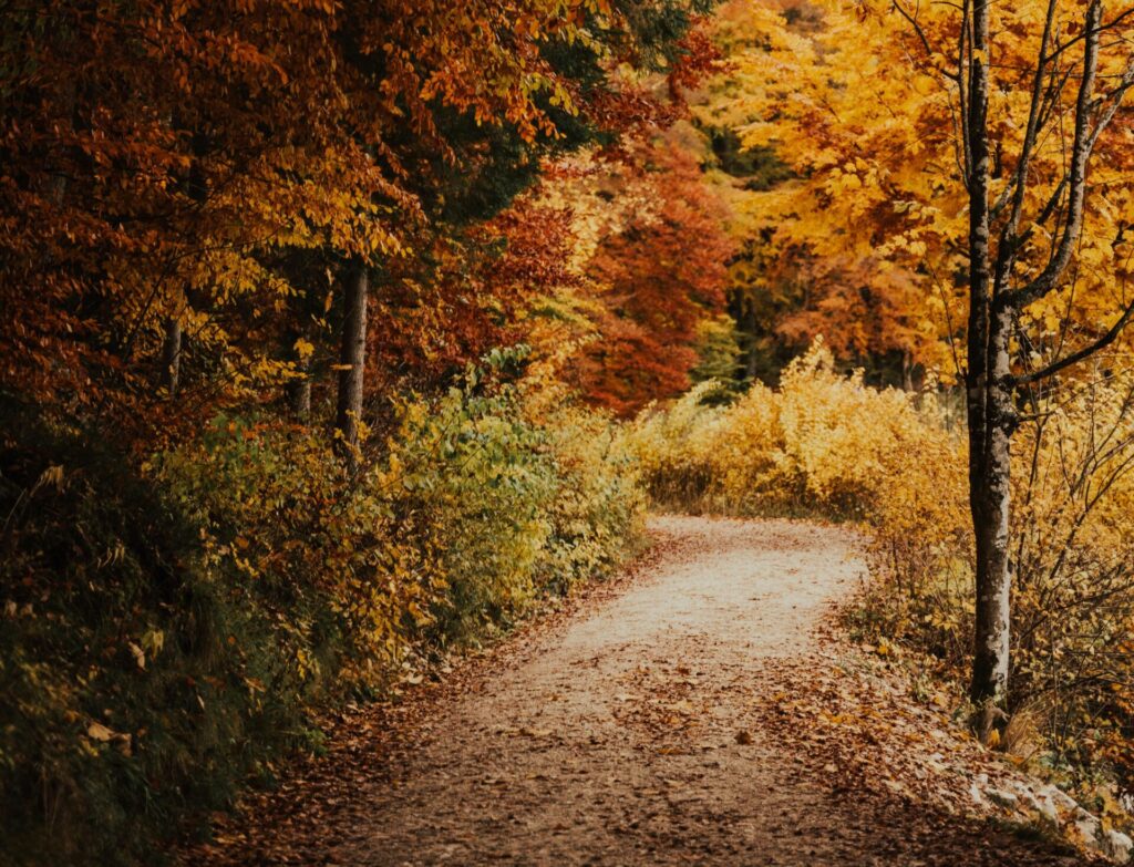 put-in-bay hiking trails