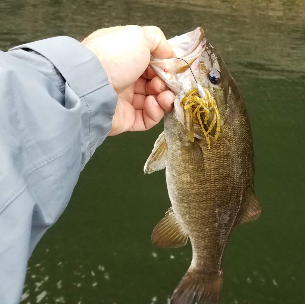 Lake Erie Smallmouth Fishing