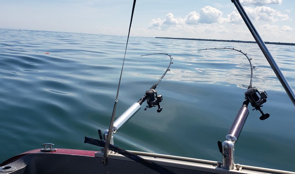 lake erie walleye charter