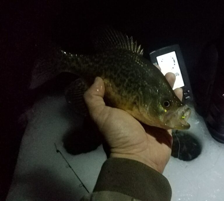 Crappie Ice Fishing