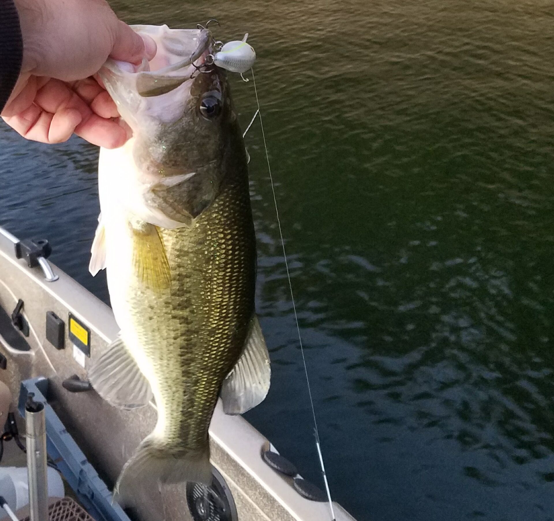 Top 3 Wake Baits for Bass Fishing