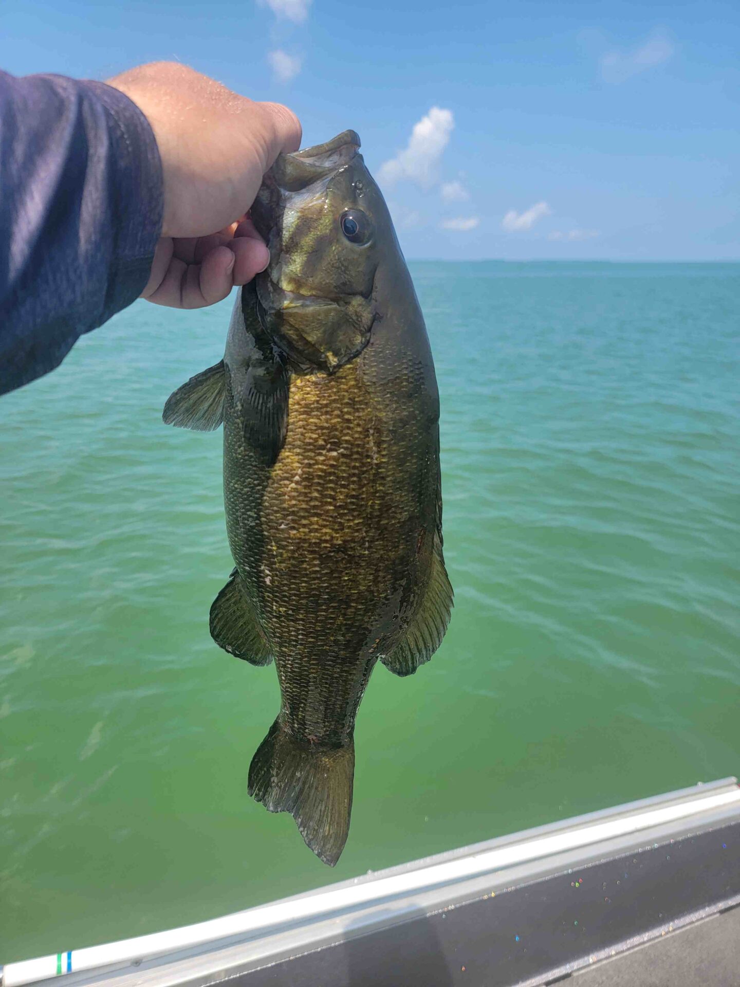 Lake Erie Fishing Report August 2025