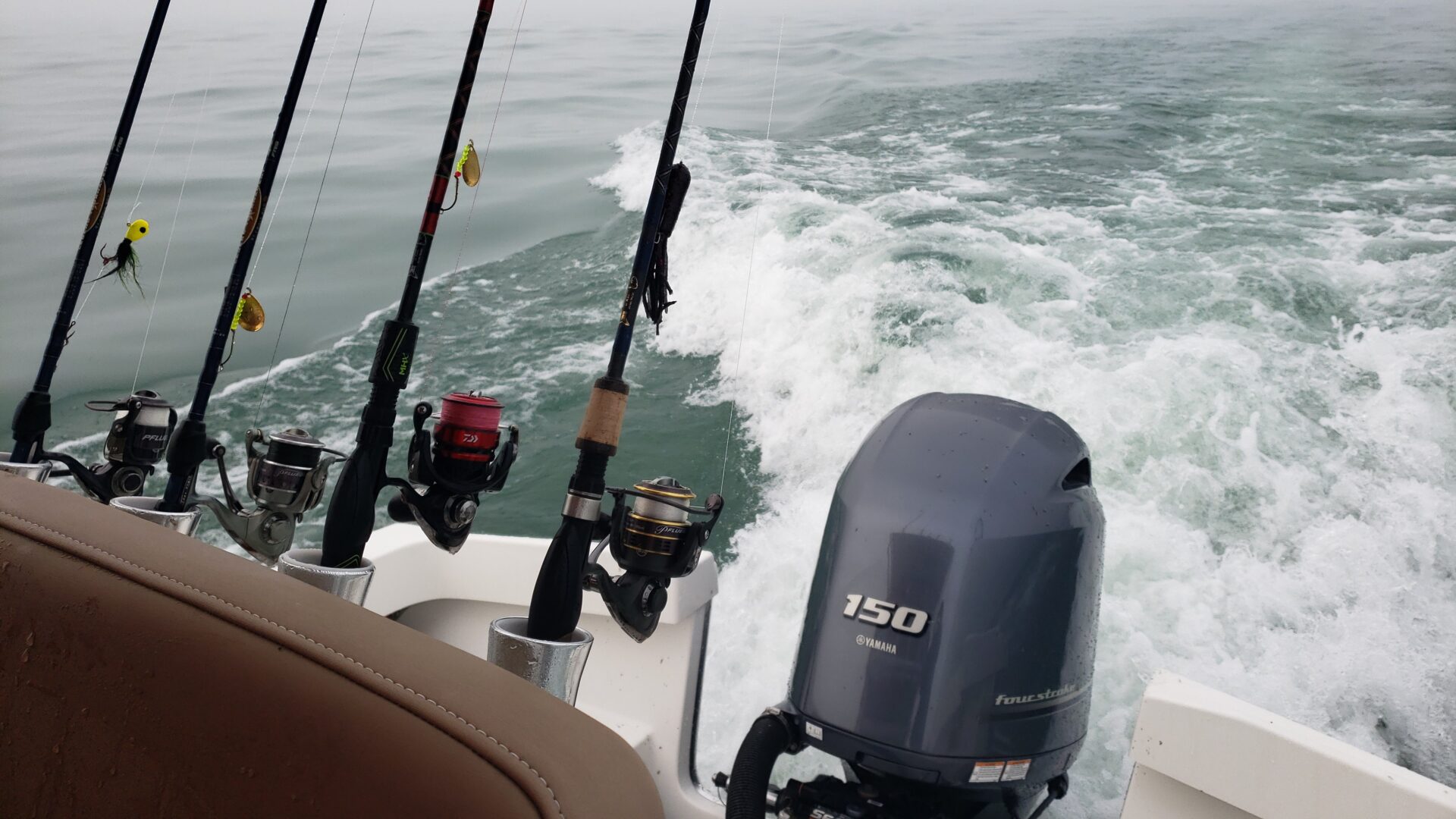 Lake Erie Walleye Fishing