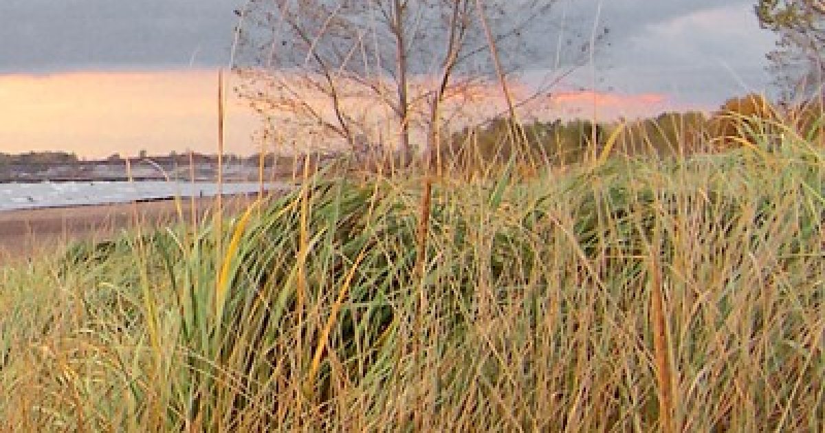 Woodlawn Beach State Park
